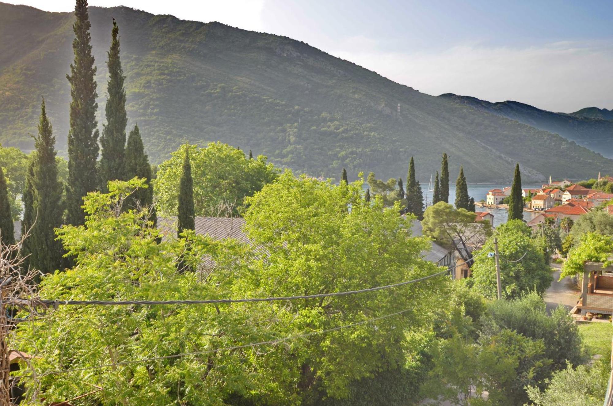 Apartments Dinko Zifra Tivat Ruang foto